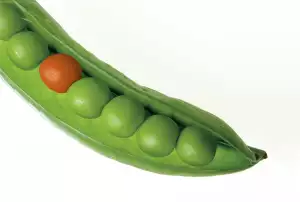Hrášek