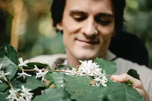 Alžírská Káva