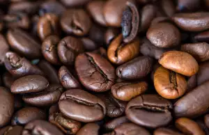 Coffee Source
