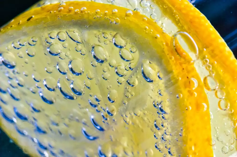 Gin Fizz