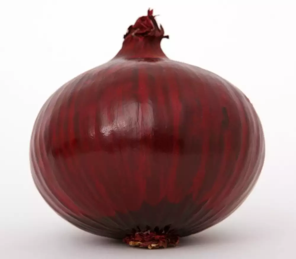 Šalotka