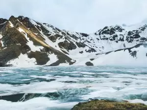 Mountain Dew