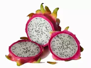 Exotické Ovoce