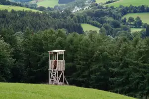 Stará Myslivecká