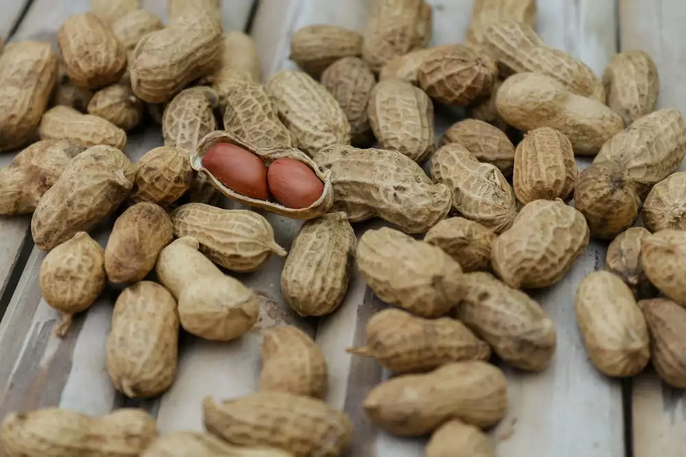 Nut