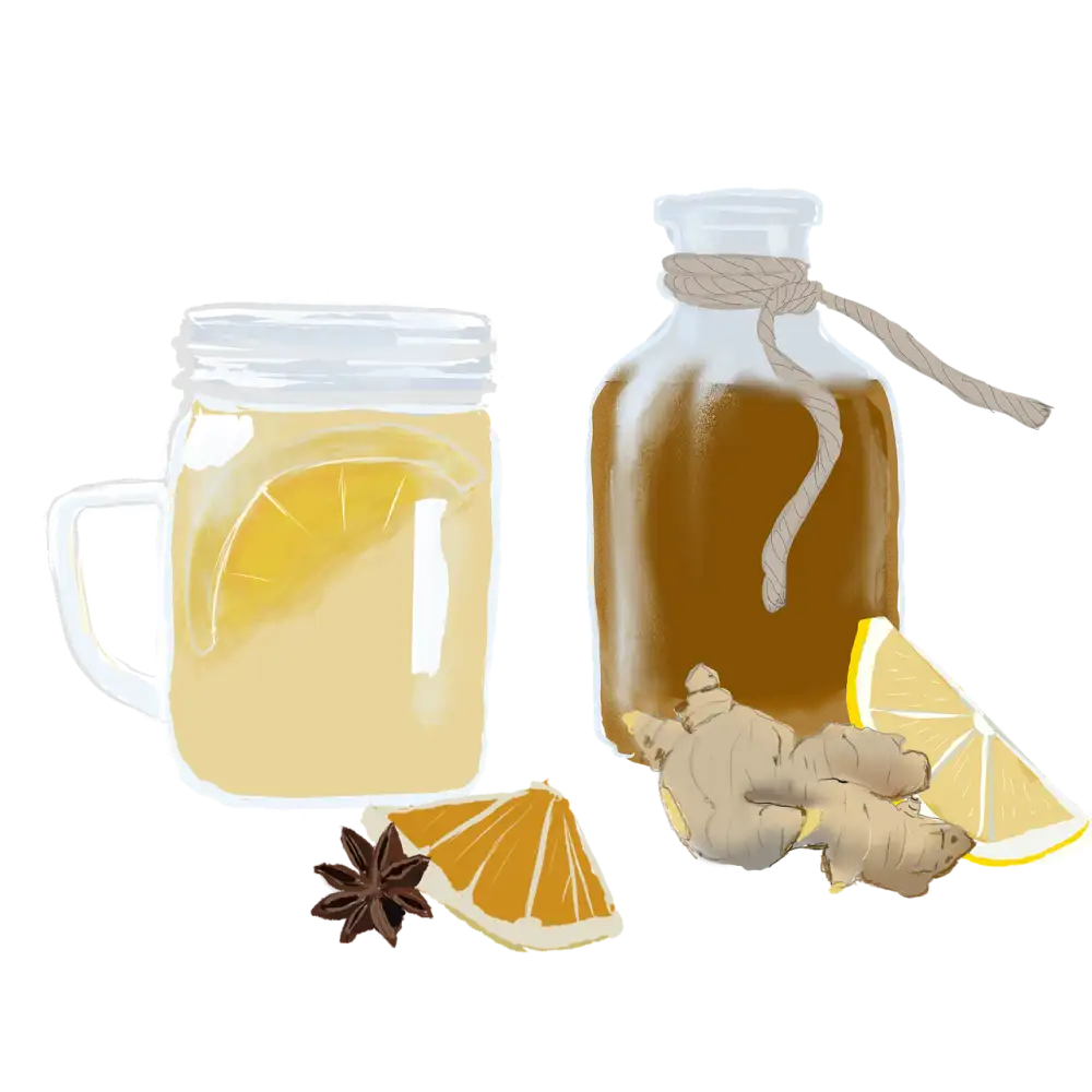 Kombucha Recept