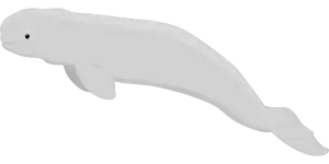 Beluga