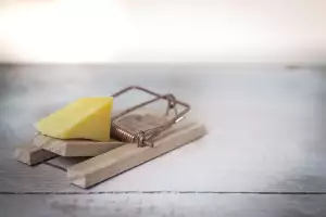 Pastiňák
