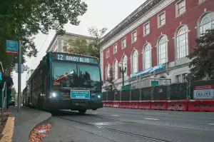 Rychlý Oběd Z Vepřové Kýty